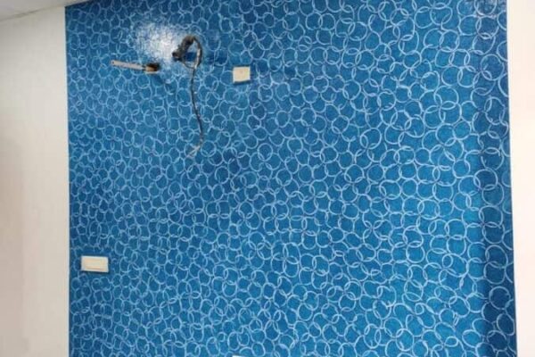 Best house Painters and painting services in Somajiguda | Hyderabad